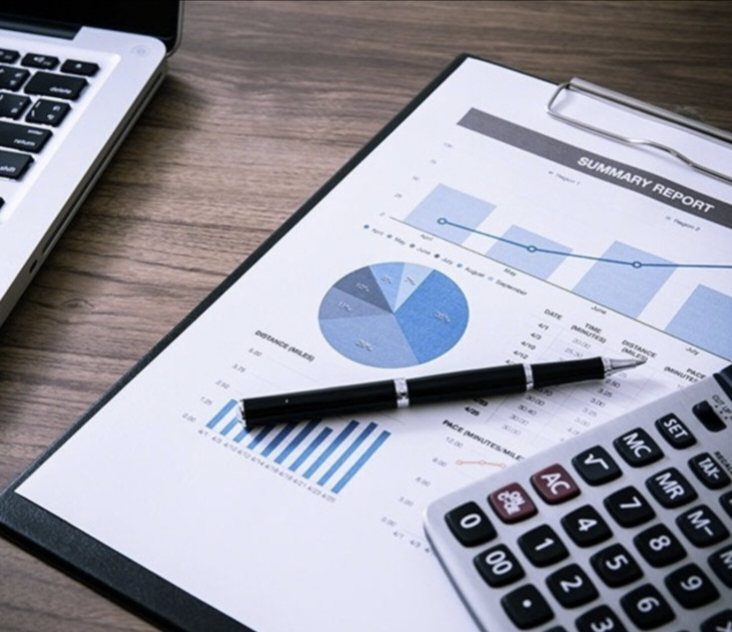 Financial Reporting Software